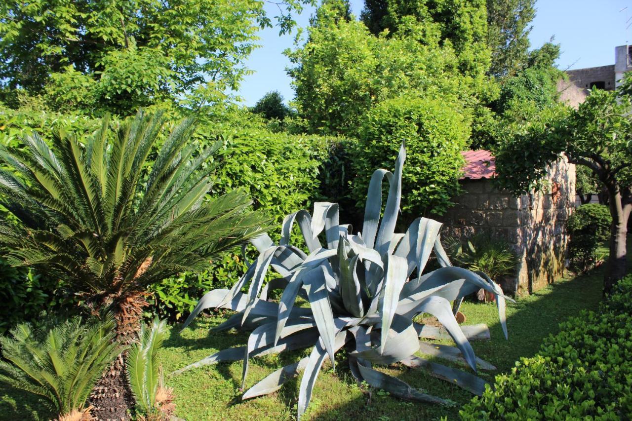 Il Giardino Degli Agrumi Caserta Buitenkant foto
