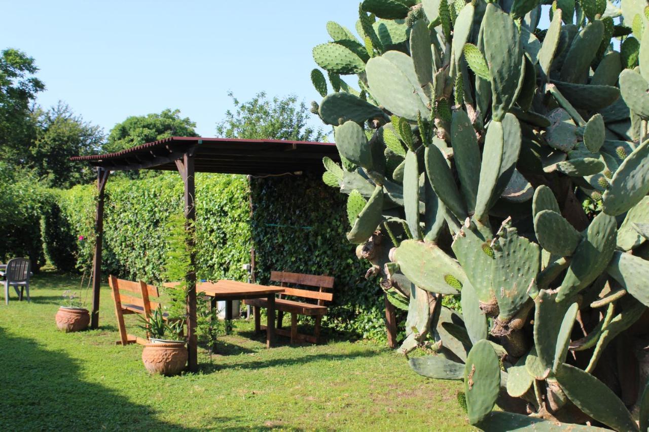 Il Giardino Degli Agrumi Caserta Buitenkant foto