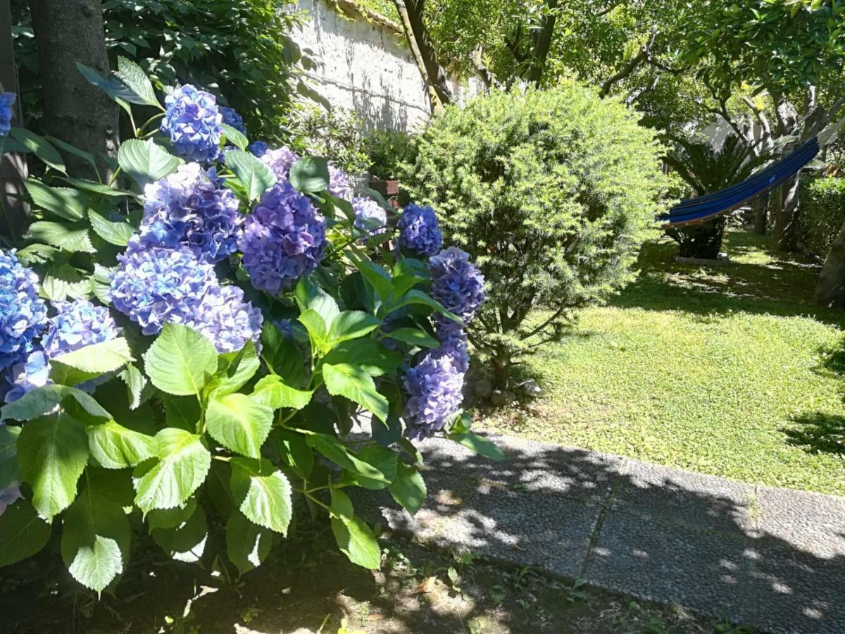 Il Giardino Degli Agrumi Caserta Buitenkant foto