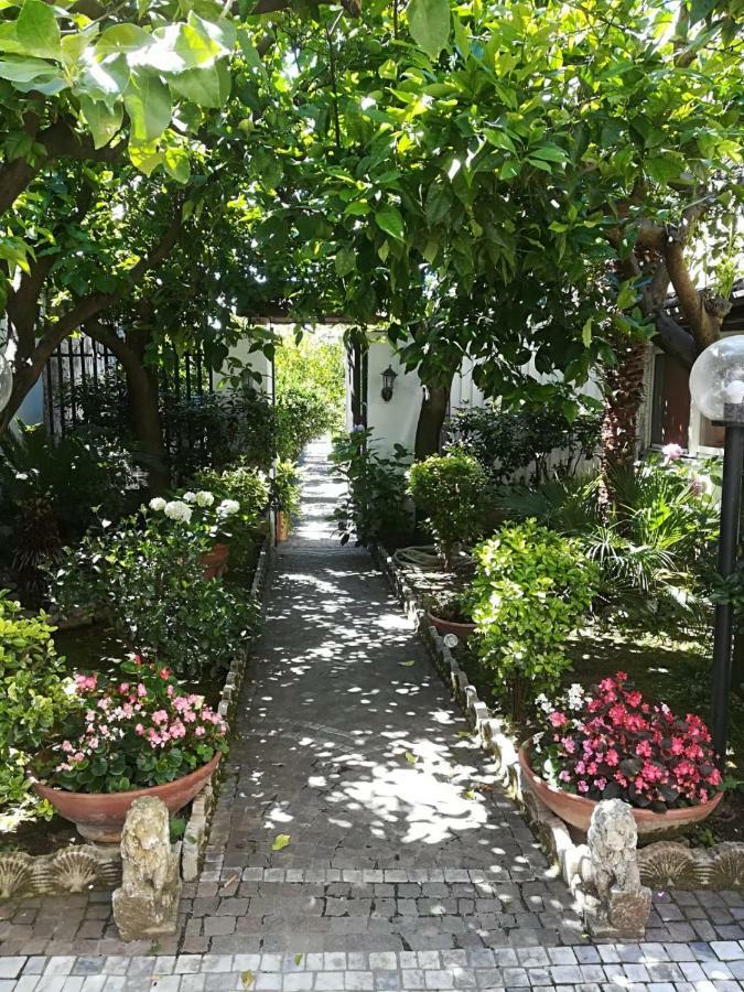 Il Giardino Degli Agrumi Caserta Buitenkant foto