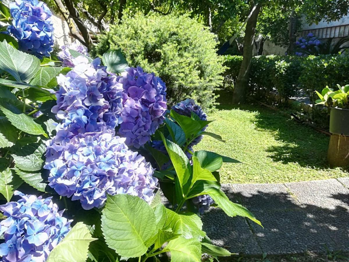 Il Giardino Degli Agrumi Caserta Buitenkant foto